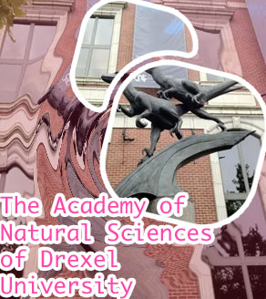 Drexel academy of natural sciences