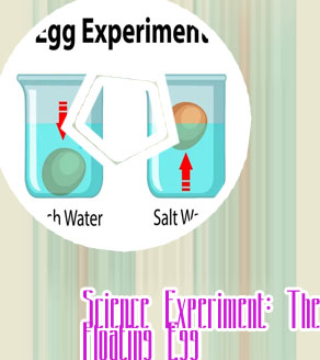 Floating egg science experiment